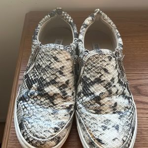 STEVE MADDEN Elias snakeskin print Sneaker Shoes. 6.5B new condition worn once.